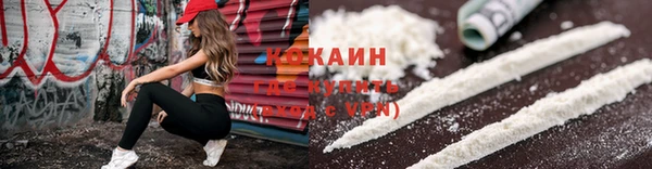 дурь Богородицк