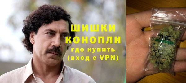 дурь Богородицк