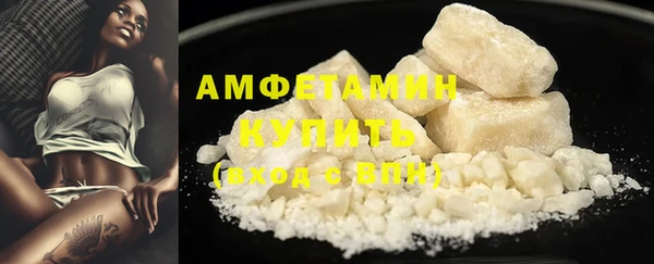 ГАЛЛЮЦИНОГЕННЫЕ ГРИБЫ Богданович