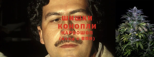 дурь Богородицк