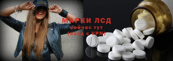 хмурый Белокуриха