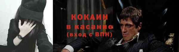 ГАЛЛЮЦИНОГЕННЫЕ ГРИБЫ Богданович