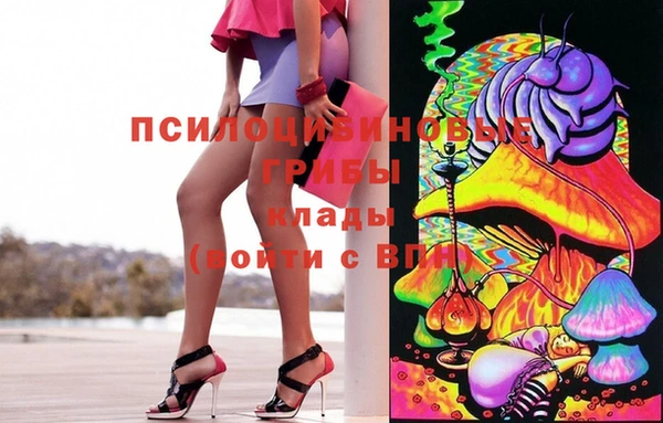 дурь Богородицк