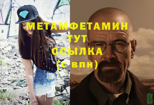 ГАЛЛЮЦИНОГЕННЫЕ ГРИБЫ Богданович