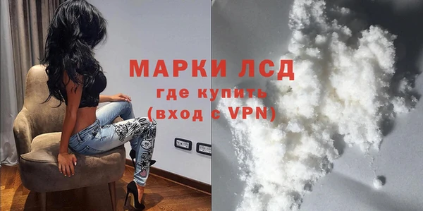 ГАЛЛЮЦИНОГЕННЫЕ ГРИБЫ Богданович