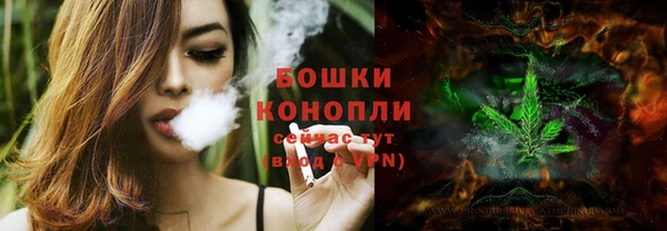 ГАЛЛЮЦИНОГЕННЫЕ ГРИБЫ Богданович