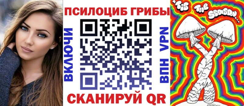 Купить Данилов Галлюциногенные грибы Psilocybine cubensis